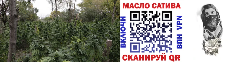 Купить  Новая Ладога  ТГК гашишное масло 