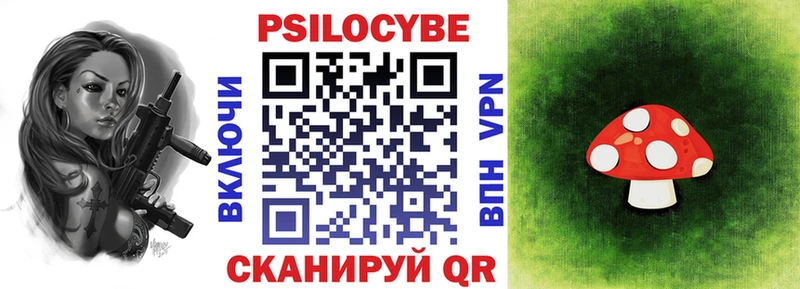 Псилоцибиновые грибы MAGIC MUSHROOMS  Купить где  Новая Ладога 